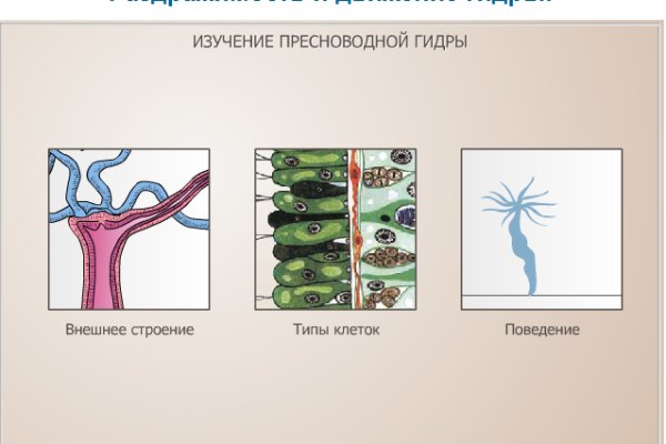 Как пополнить биткоины в меге