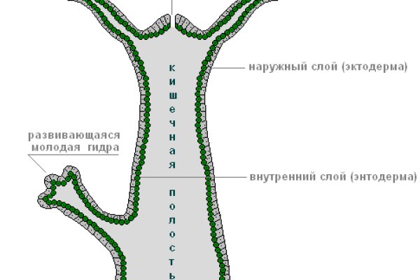 Как залить фото на блэкспрут