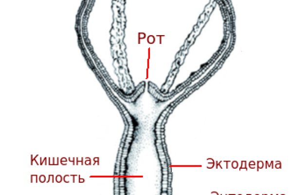 Где можно купить гашиш